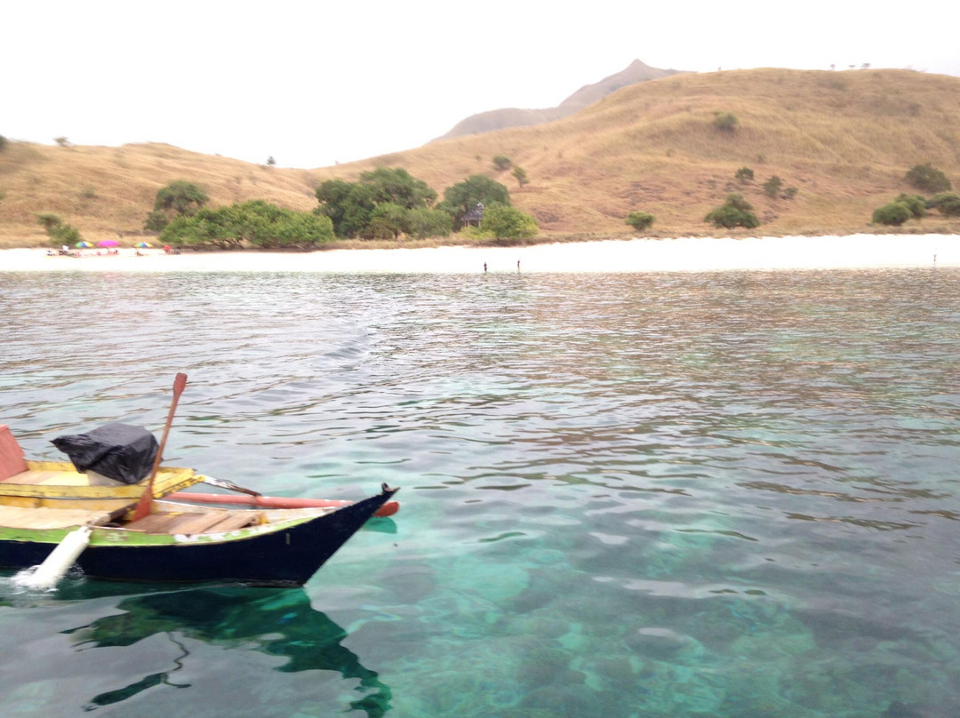 Pink Beach-科莫多必去景点