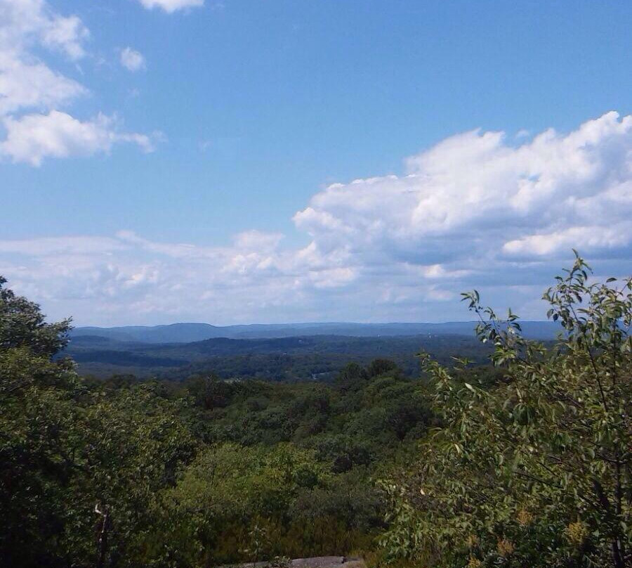 Turkey Mountain Nature Preserve景点图片
