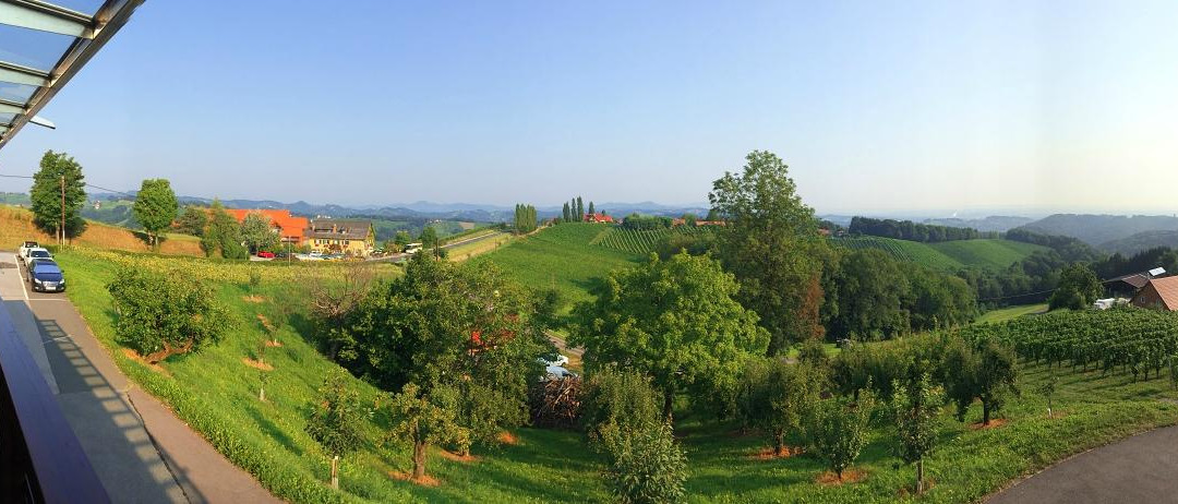 Weingut Elsnegg