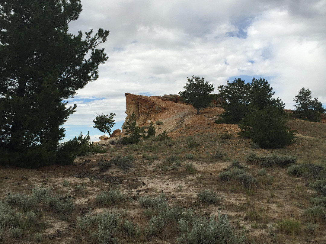 Castle Gardens Petroglyph Site-Riverton必去景点
