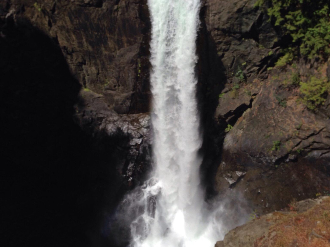Elk Falls Provincial Park景点图片