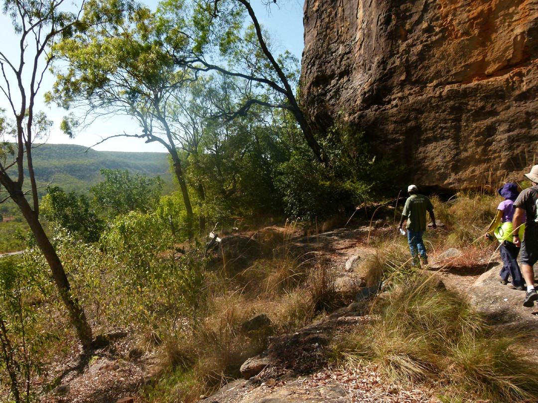 Quinkan Galleries Rock Art-Laura必去景点