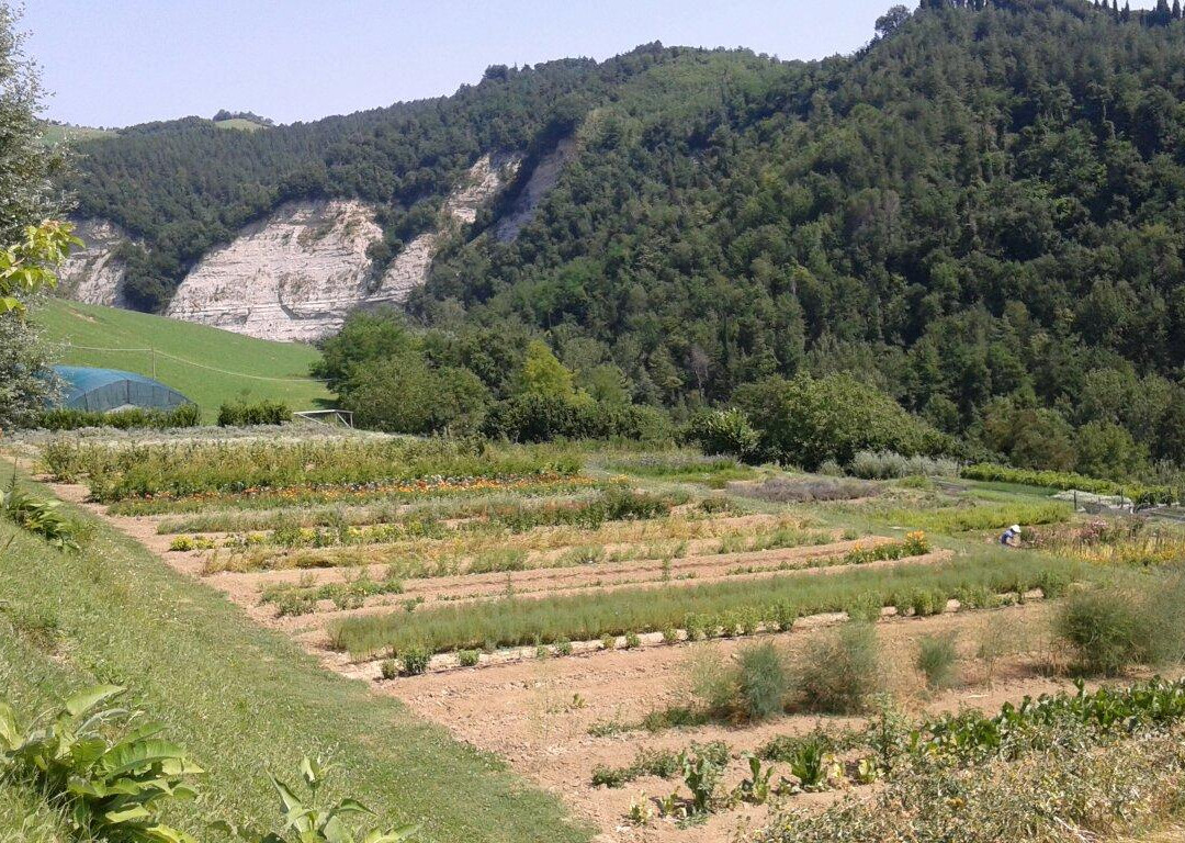 Giardino delle Erbe Augusto Rinaldi Ceroni景点图片
