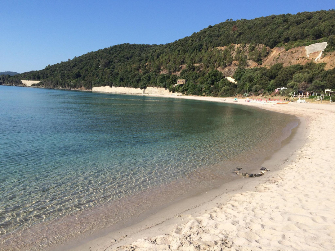 Plage de Canella景点图片