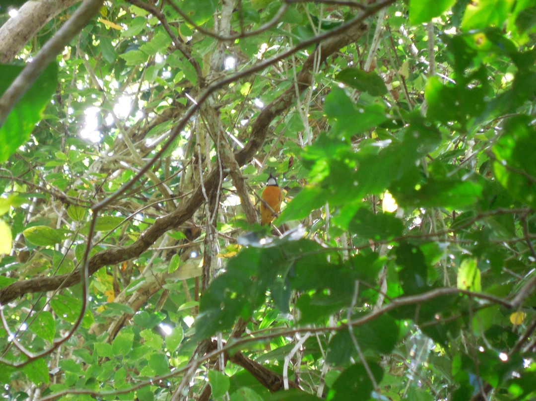 Manupeu Tanah Daru National Parks景点图片