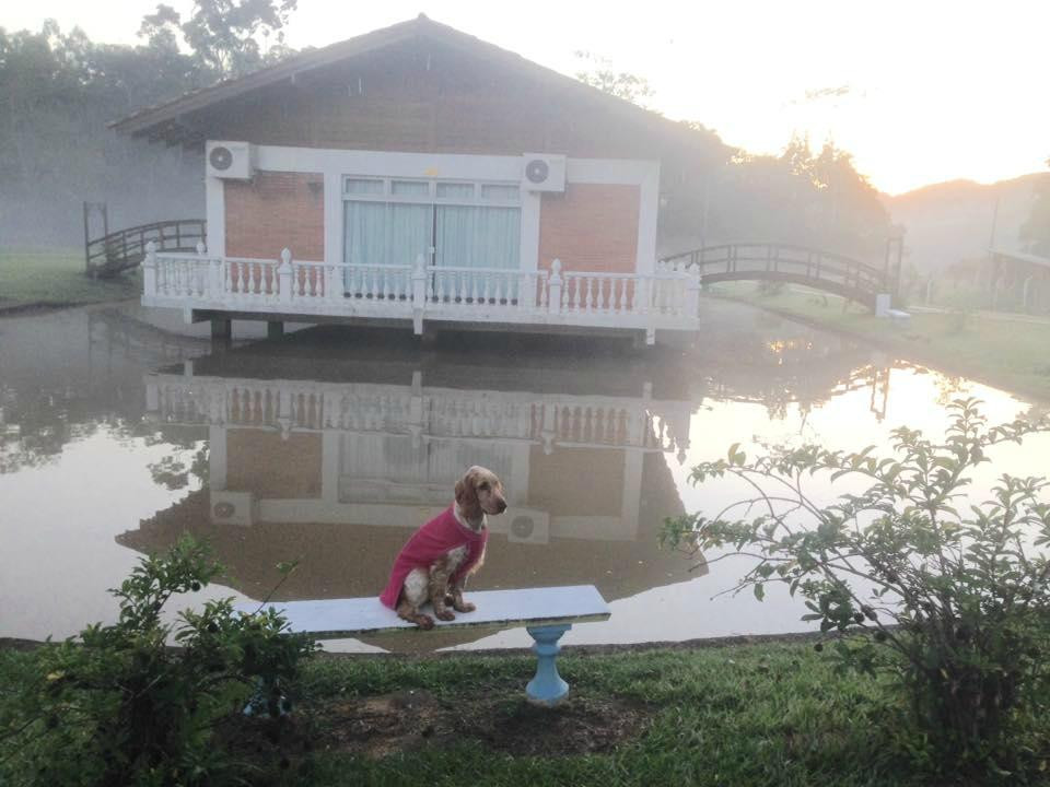 Hotel Fazenda Santo Antonio主图