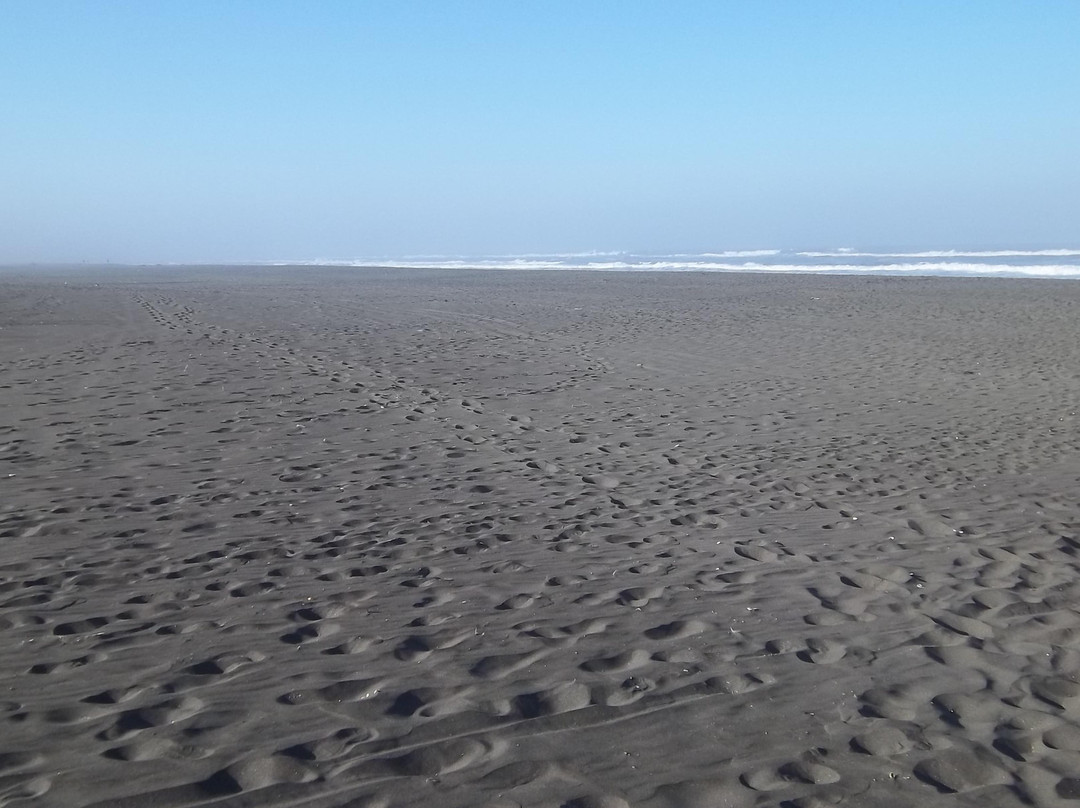 Curicó Valley Wine Route-Curico必去景点