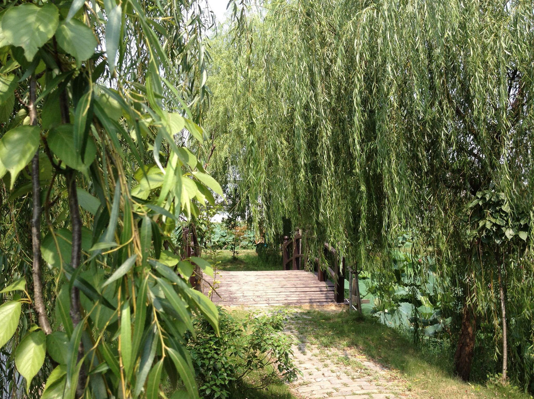 姚家寨生态园-马鞍山市必去景点