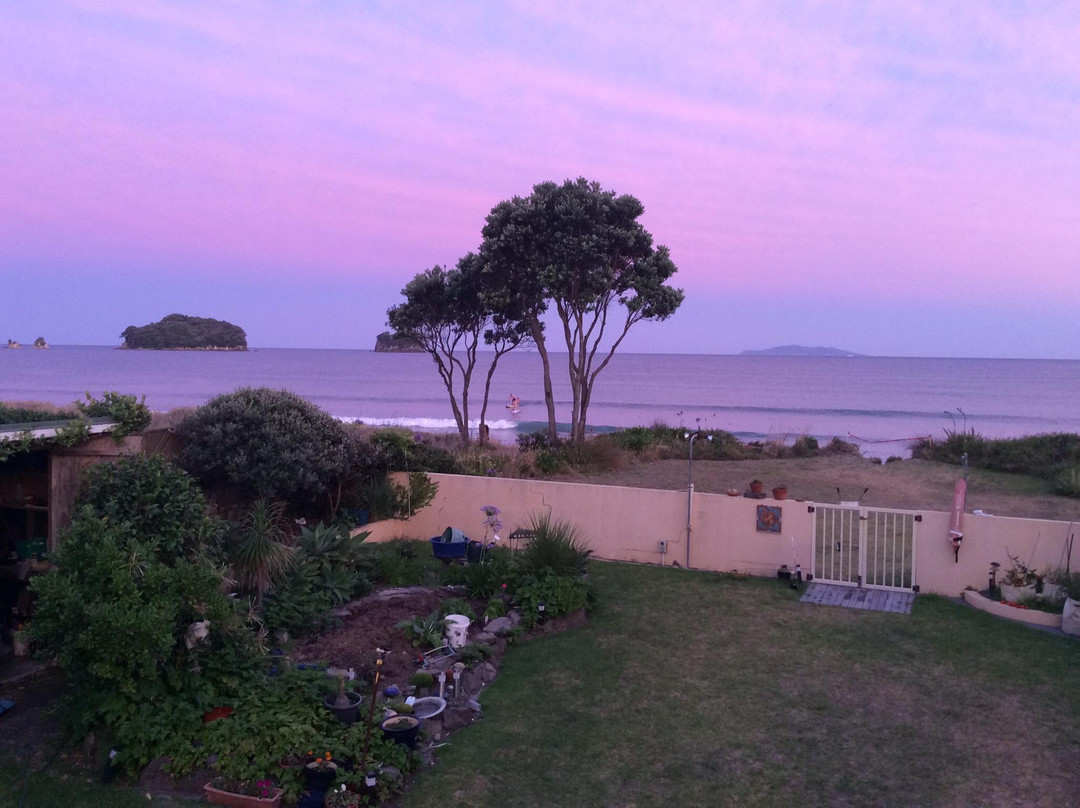 Whangamata Beach景点图片