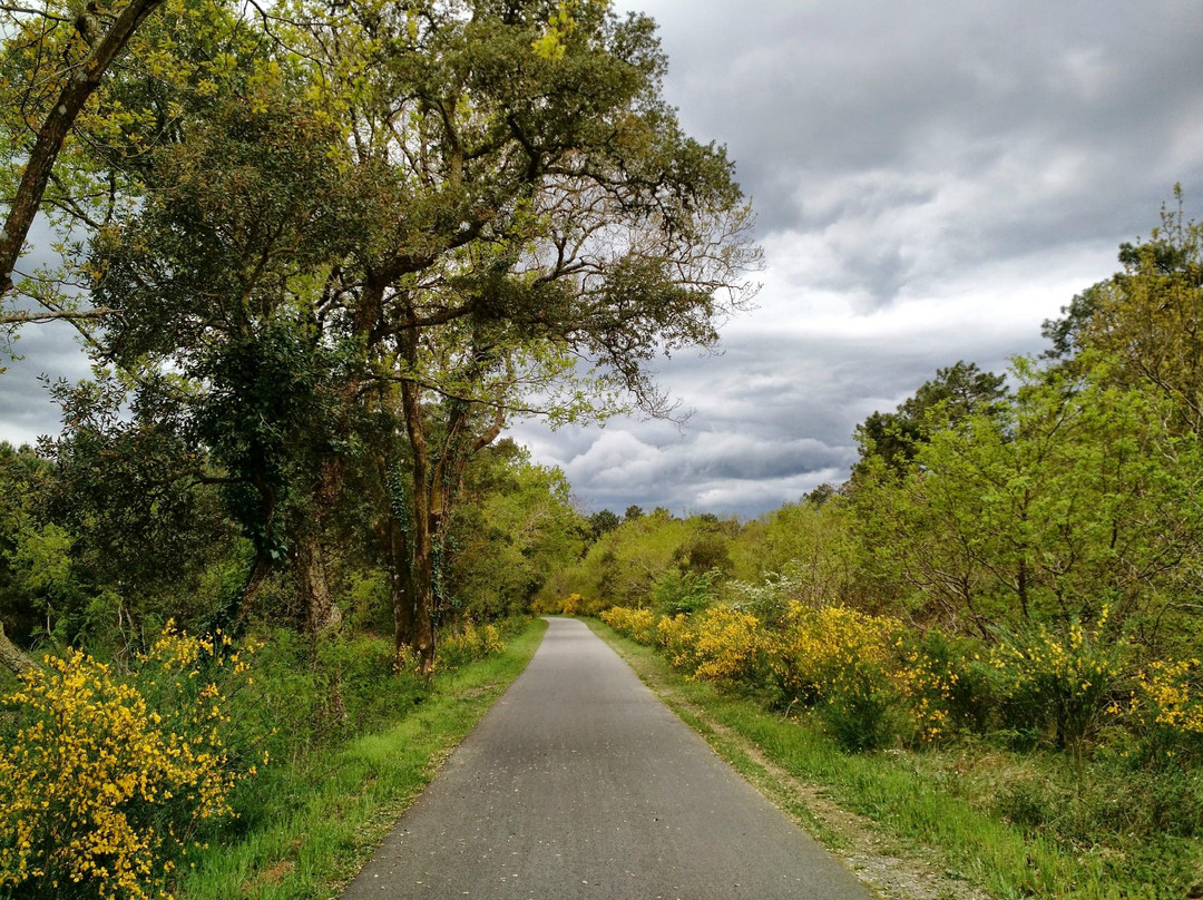 Cyclescapade-Labenne必去景点