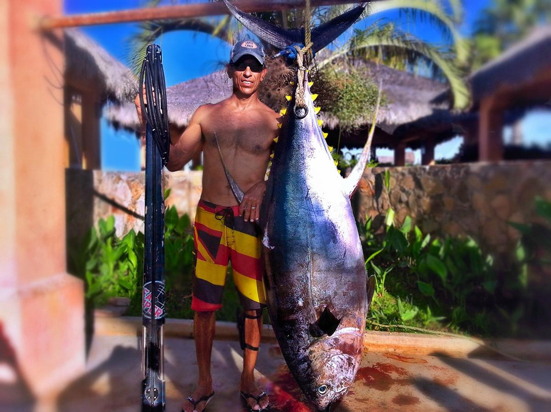 Sea Sniper Baja-El Sargento必去景点