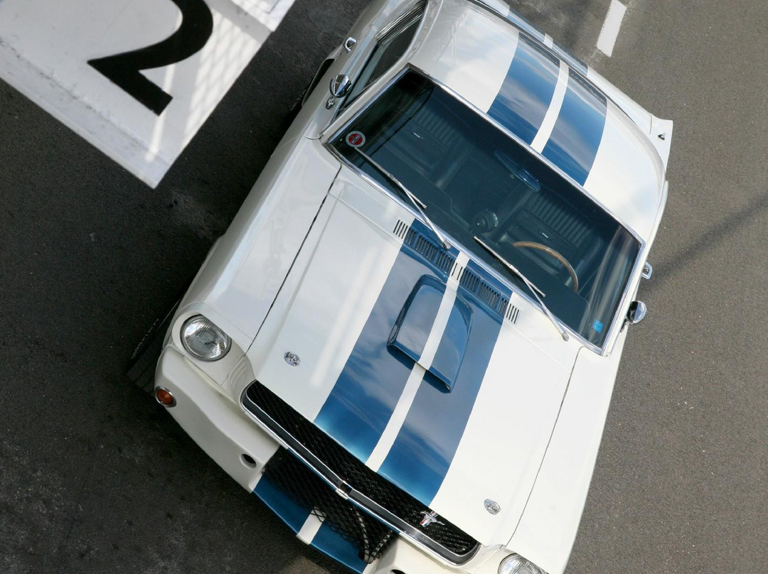 Mithril Racing景点图片