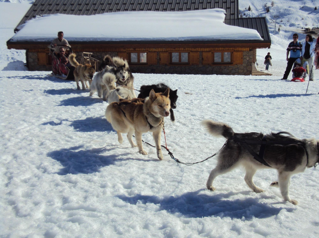 Chiens de Traîneaux-Macot-la-Plagne必去景点