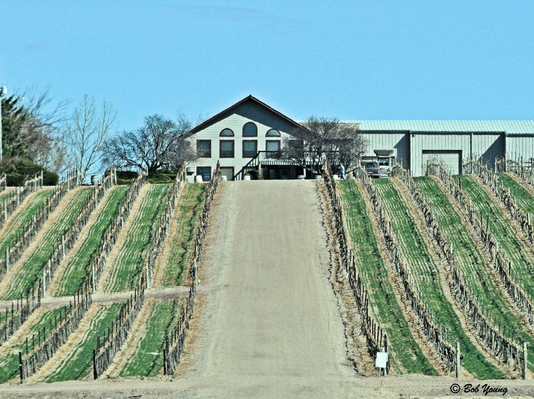 Sawtooth Winery-楠帕必去景点