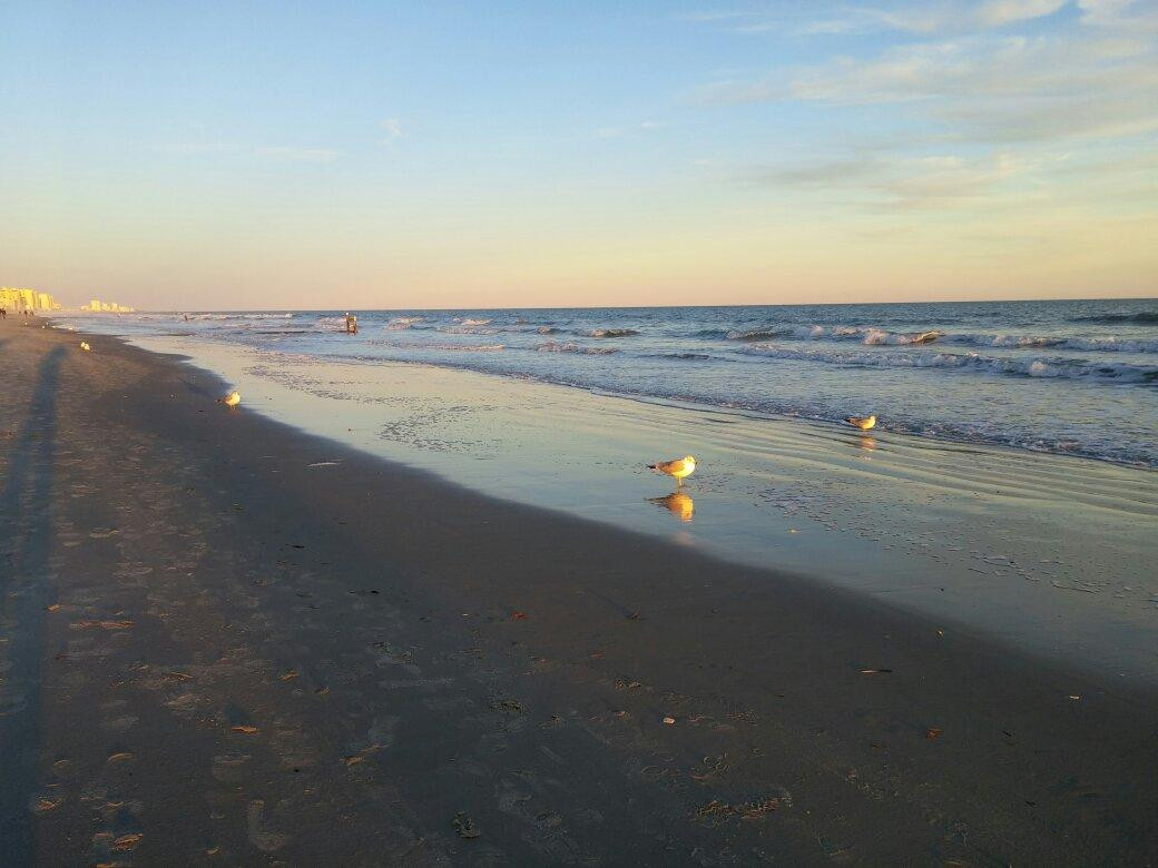 Crescent Beach景点图片