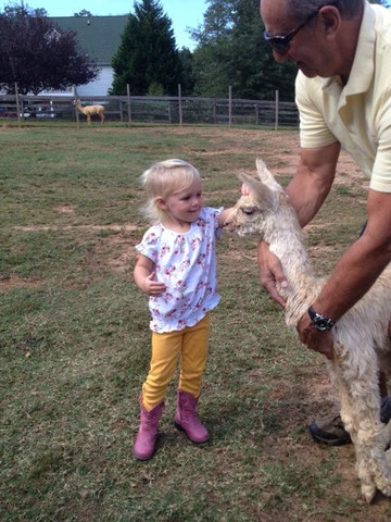 Thunder River Alpacas-Dillsburg必去景点