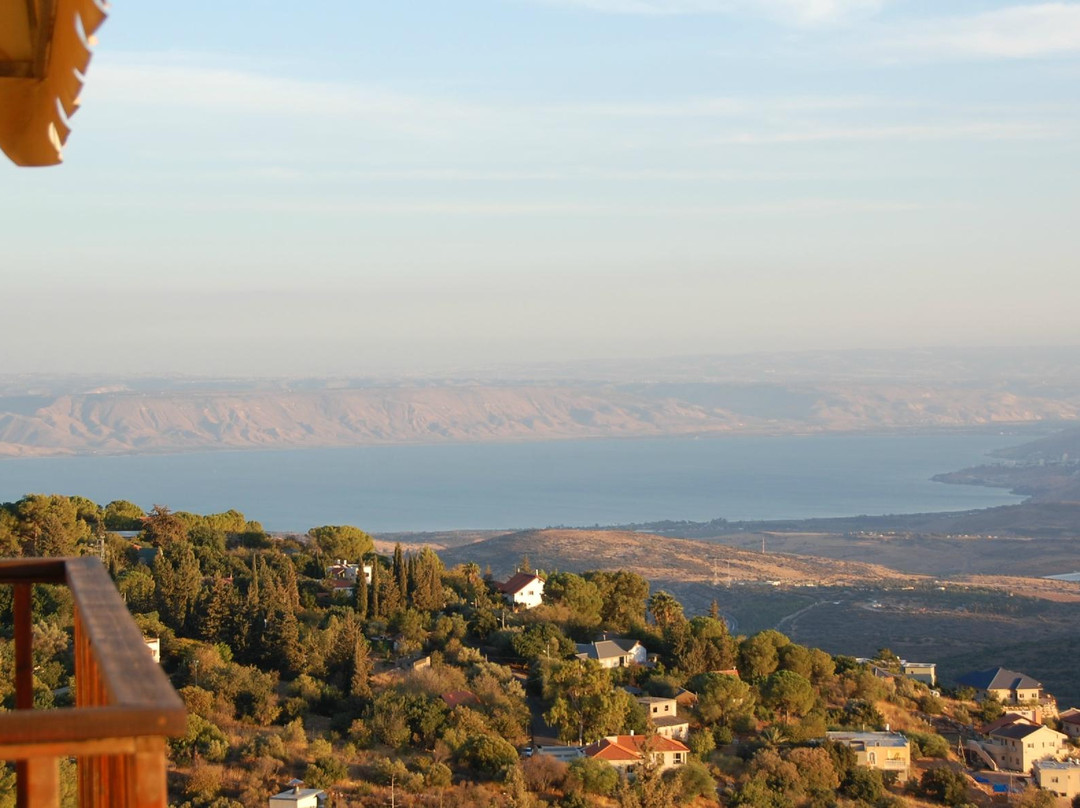 Honny's Circle主图