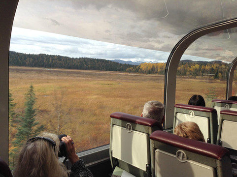 McKinley Explorer-惠提尔必去景点