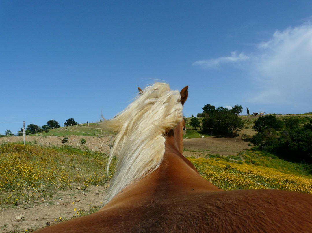 Hills and Trails-Murci必去景点