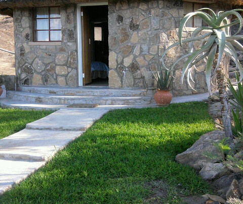 Figtree旅游攻略图片