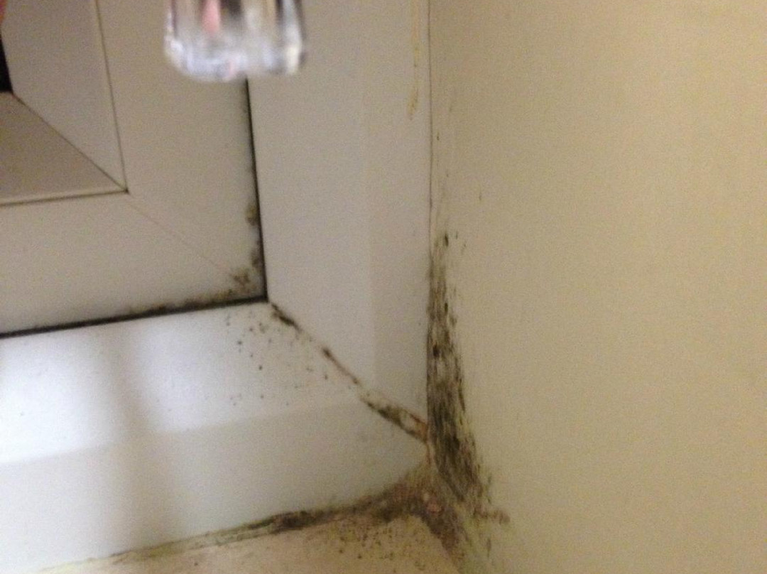 Contractors Guest House主图