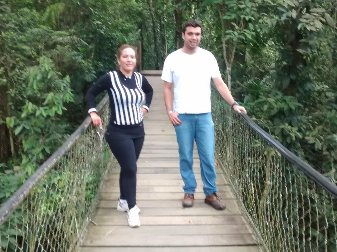 Trilha dos Jequitibás-Caraguatatuba必去景点