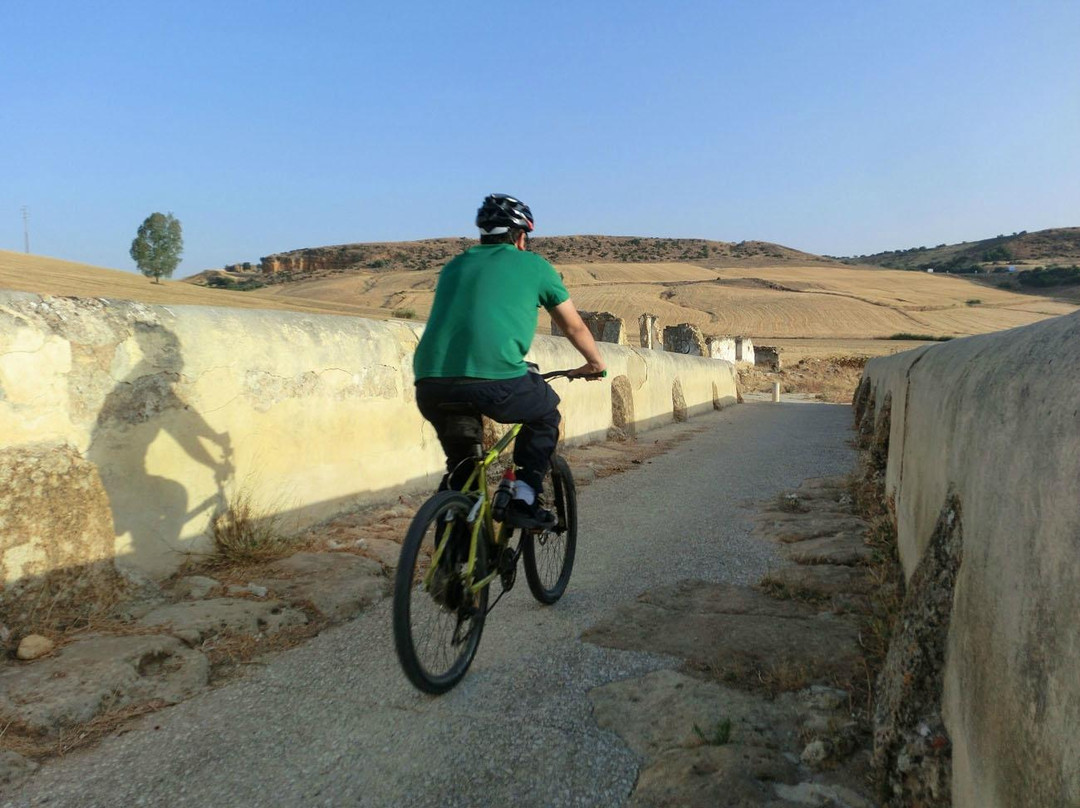Carmona Bike Tours-卡莫纳必去景点