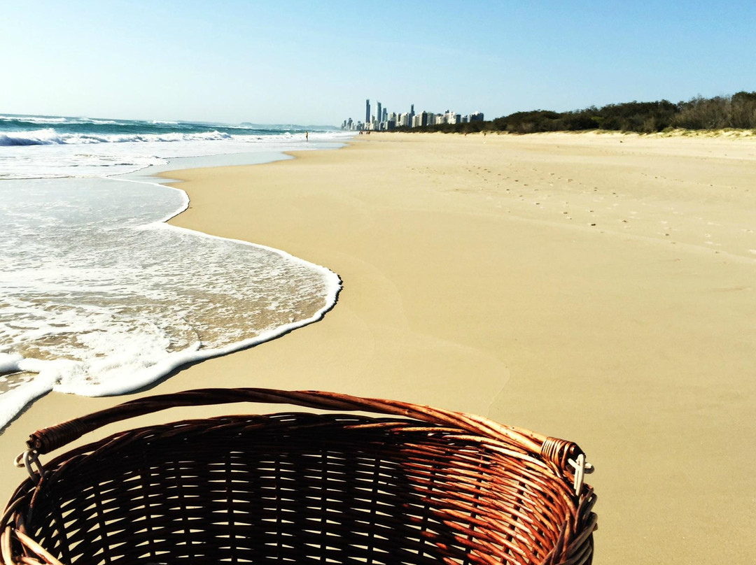 Gold Coast Bike Tours-冲浪者天堂必去景点