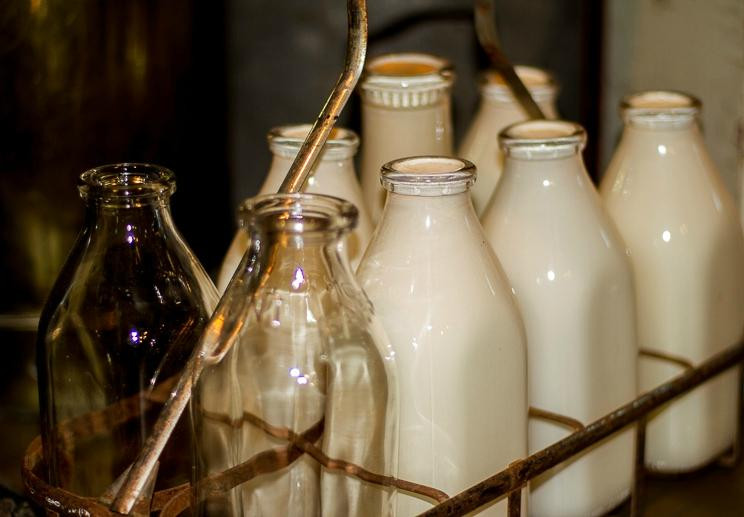 Knight Museum and Sandhills Center-Alliance必去景点