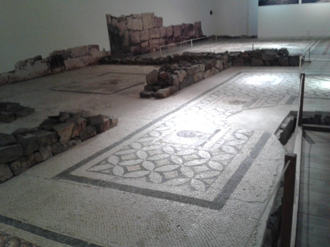 Mouseío Fysikís Istorías Aigaíou-Samos必去景点