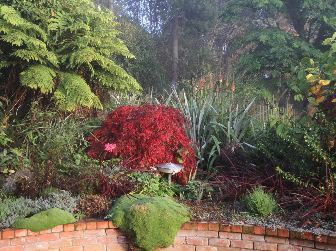Puketarata Garden景点图片