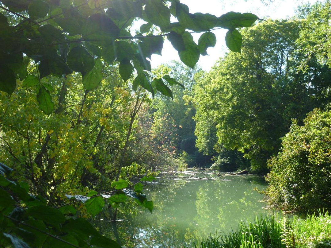 Réserve Naturelle de l'Ile du Rohrschollen-斯特拉斯堡必去景点