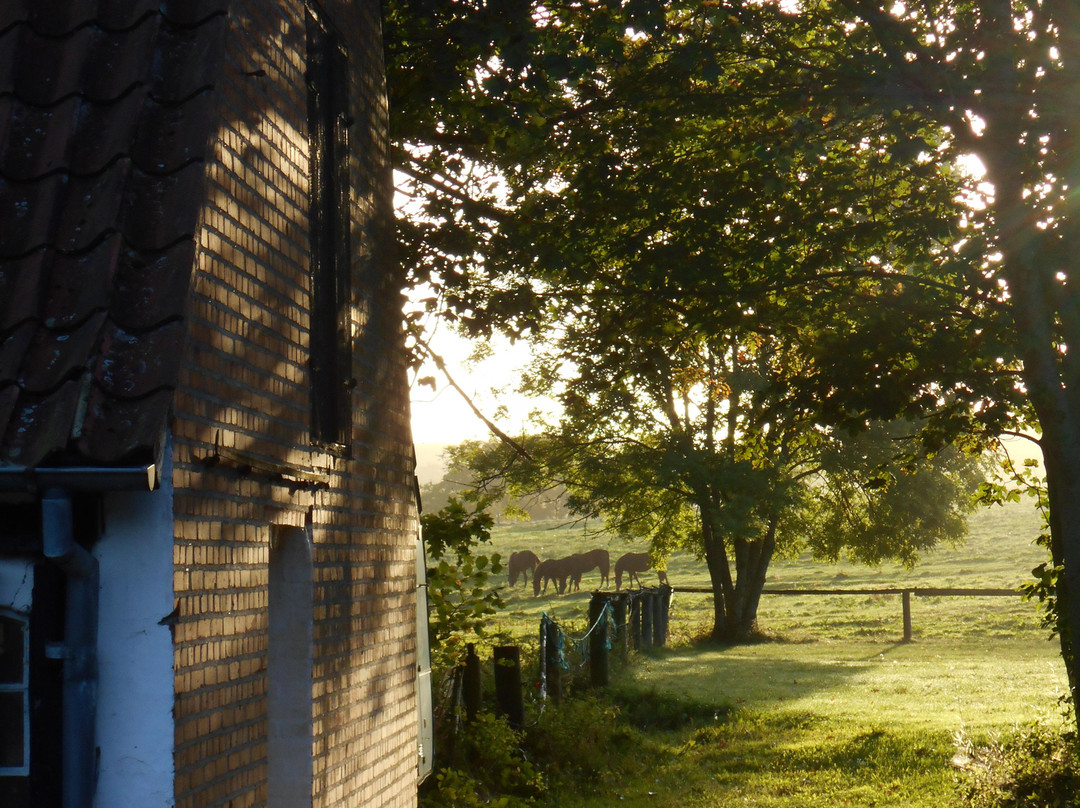 Anna's Bed & Breakfast Tarskov Molle Farmhouse主图