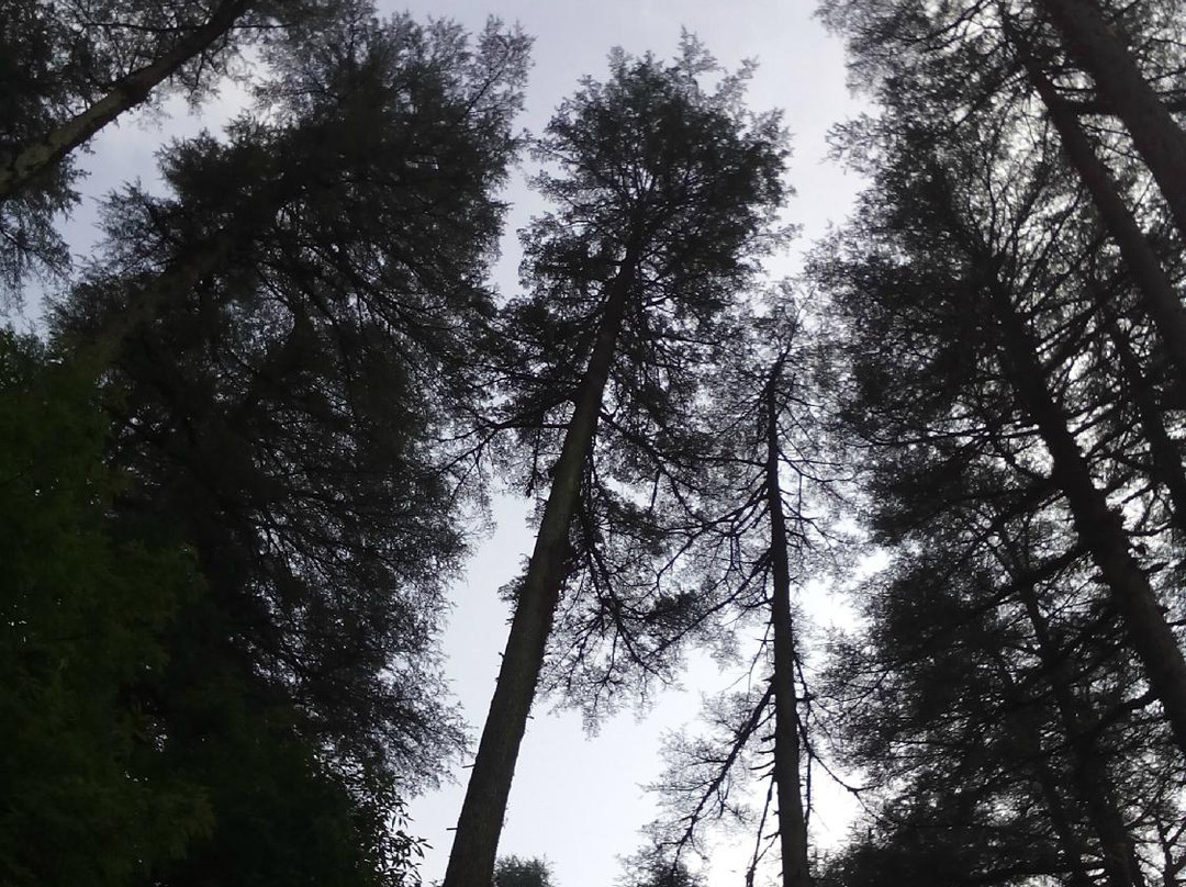 SKY WALK Dhanaulti-马苏里必去景点