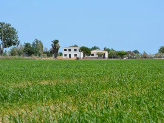 Parc Natural del Delta de l'Ebre景点图片