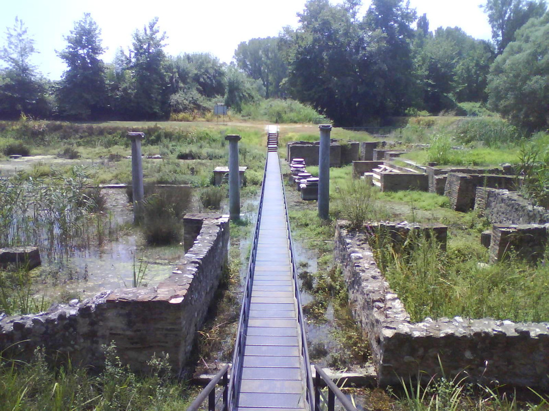 Dion Archaeological Park景点图片