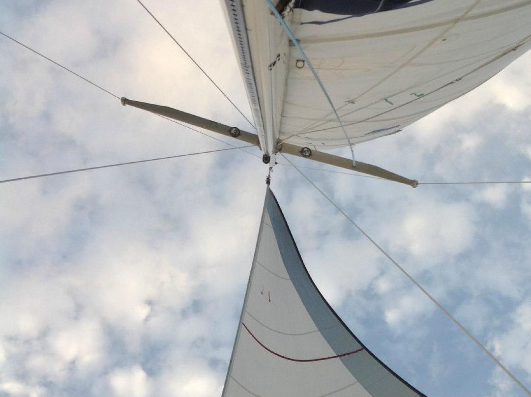 On The Wind Sailing Cruises-新伯尔尼必去景点