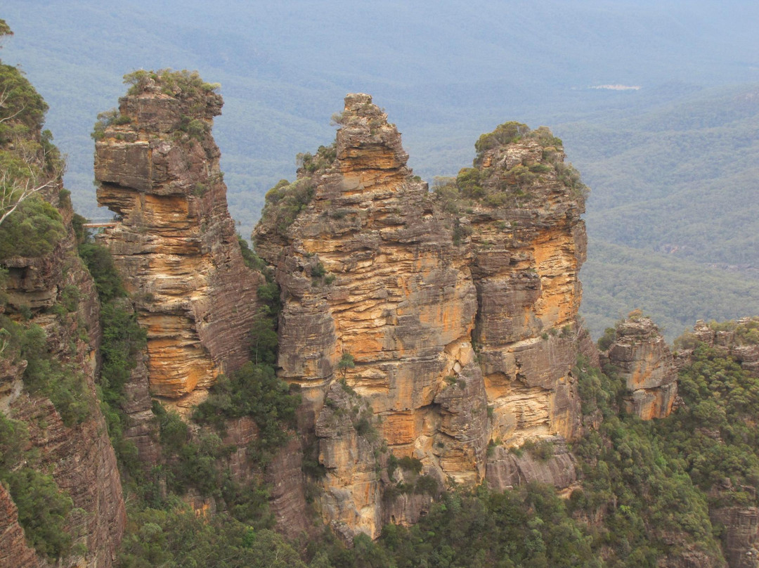 Terrific Tours Sydney景点图片
