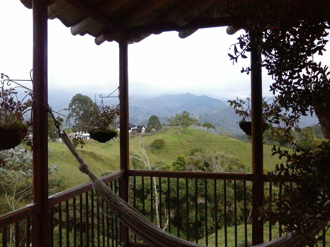 Luna Park酒店住宿-Hotel Vivero Semilla