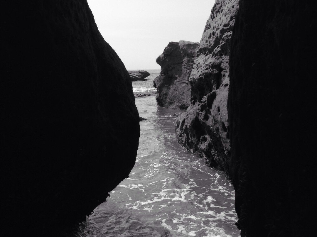 Bob Straub State Park-太平洋城必去景点