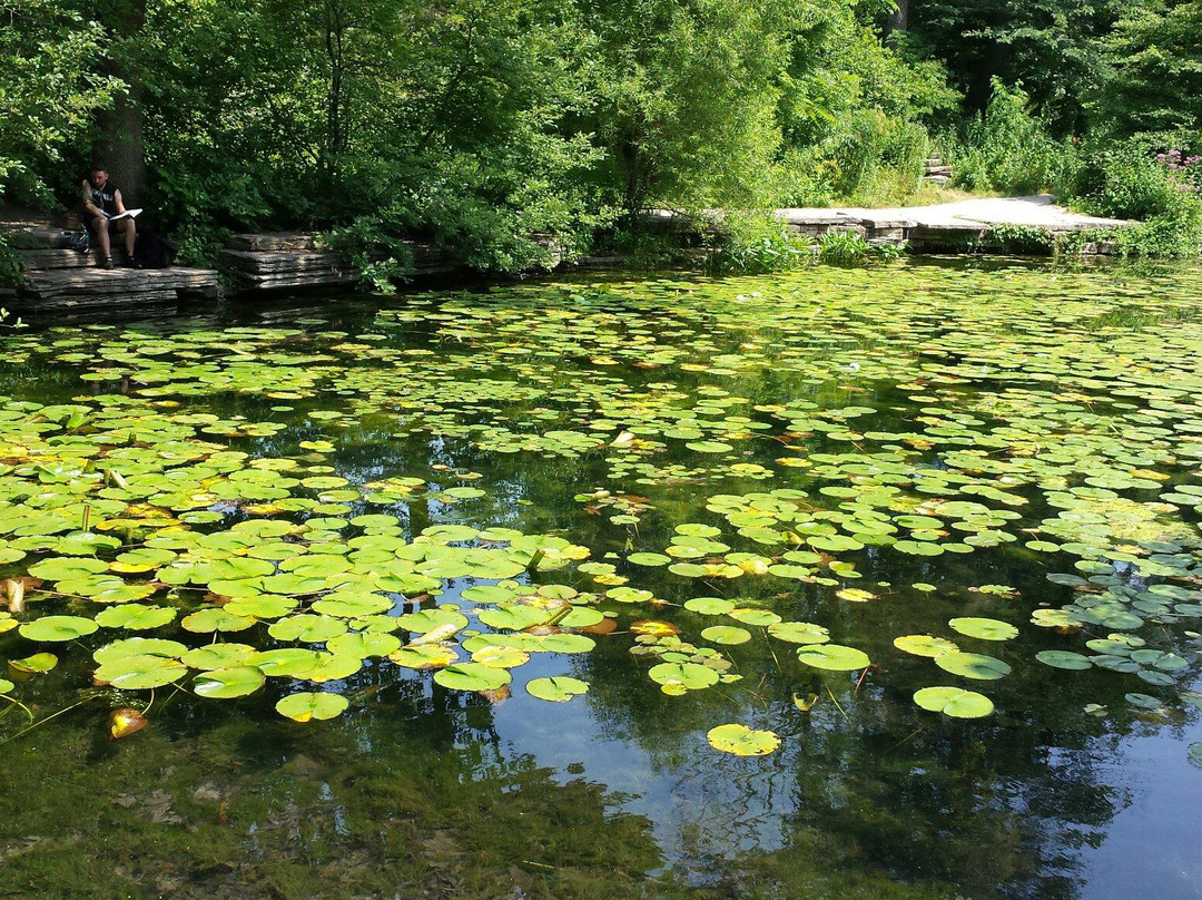 Alfred Caldwell Lily Pool-芝加哥必去景点