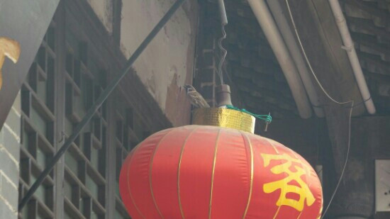 成都南郊公园景点图片