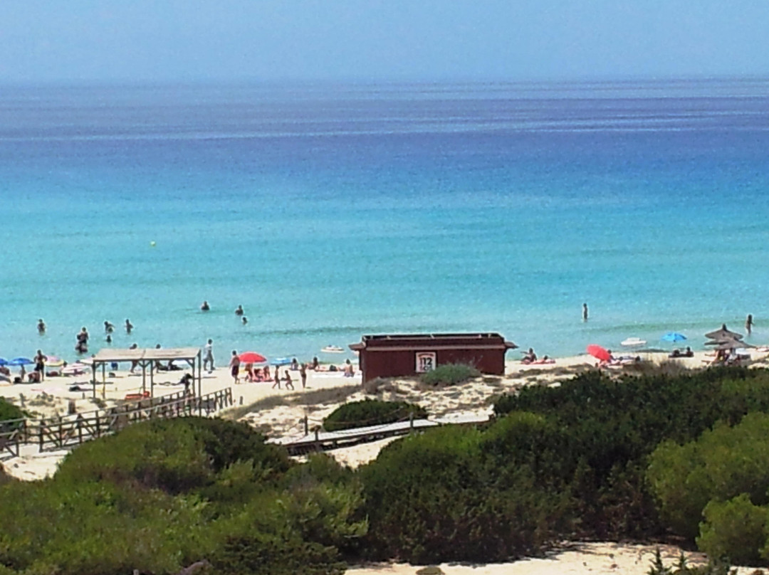 Platja Des Arenals景点图片