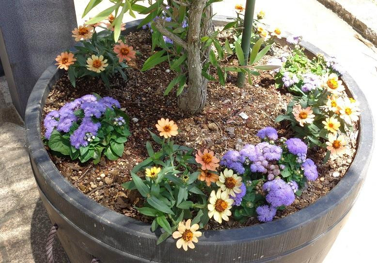 Hogashi Matsudo Yui no Hana Park-松户市必去景点