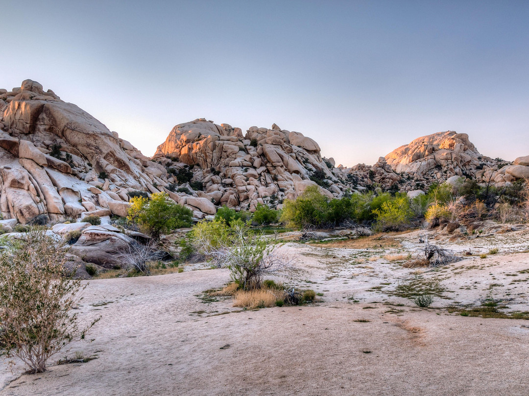 Wonderland of Rocks-约书亚树国家公园必去景点