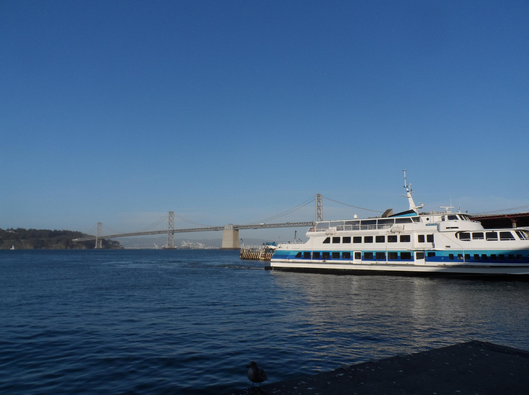 旧金山湾-旧金山必去景点