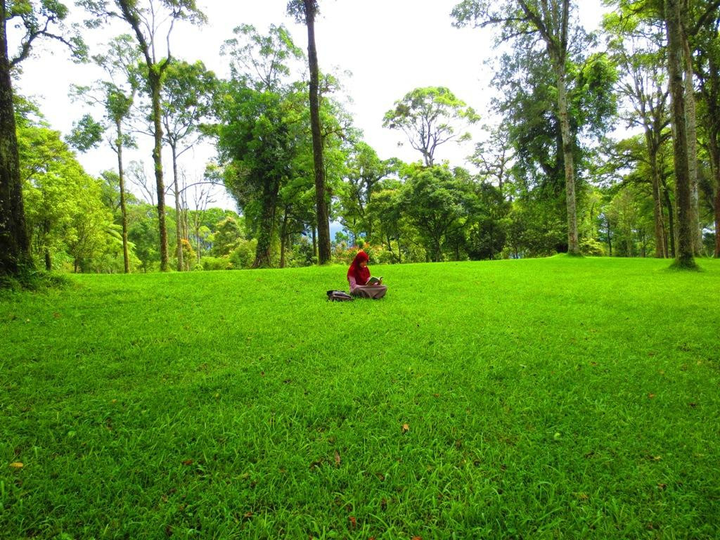 Bali Botanic Garden-达巴南必去景点