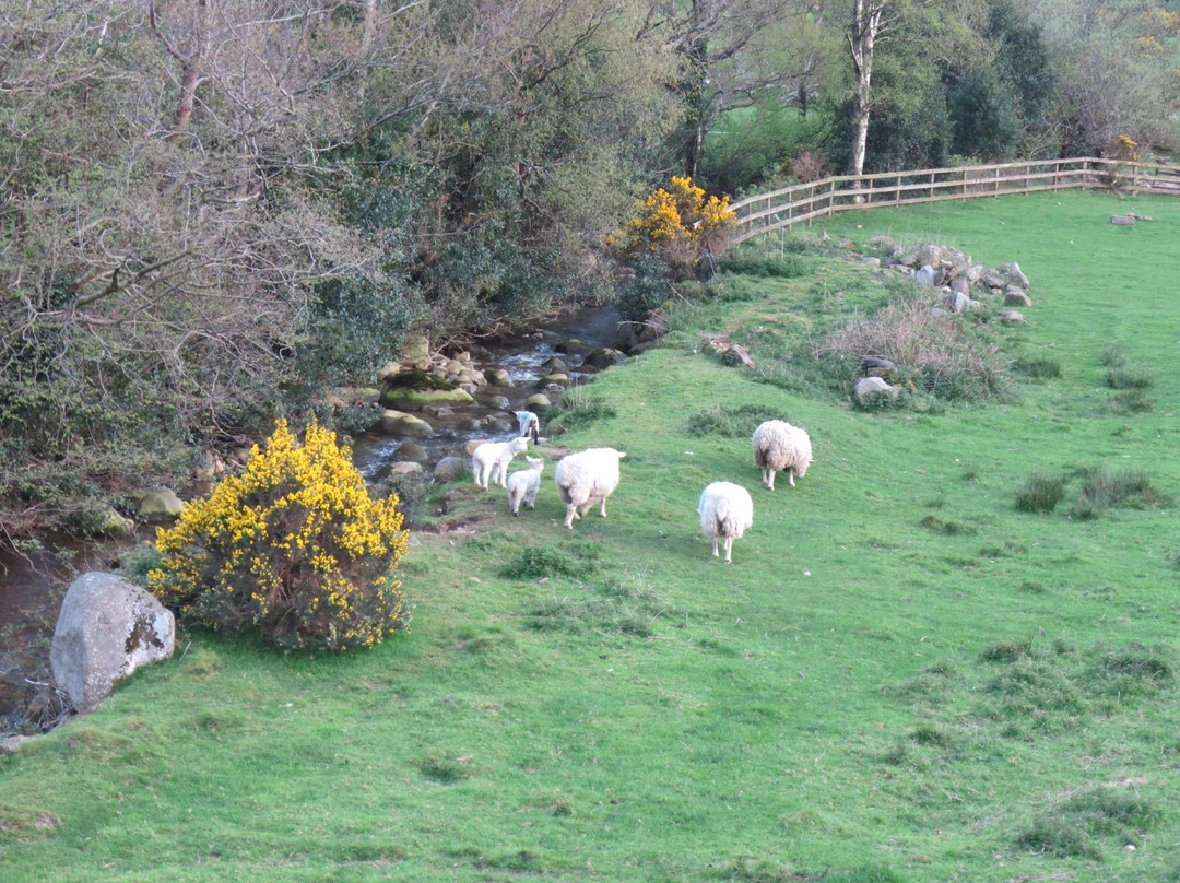 乡间酒馆游-都柏林必去景点