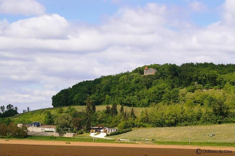 Château du Cros景点图片