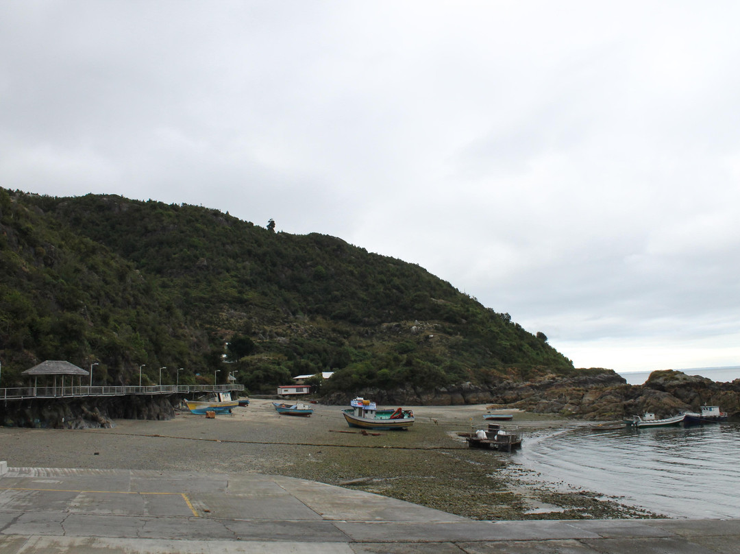 Seno de Reloncaví-蒙特港必去景点